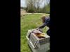 Embedded thumbnail for Bald Eagle Makes Miraculous Recovery &amp;amp; Returns to the Skies